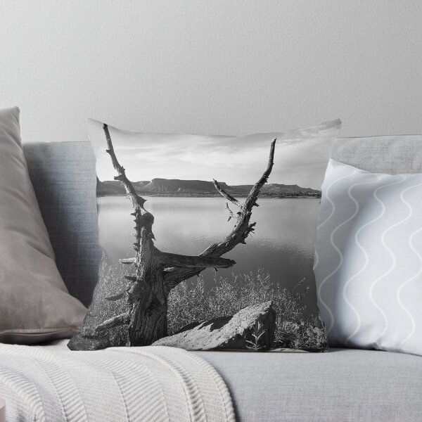 Item preview, El Vado State Park designed and sold by KDPhotos.