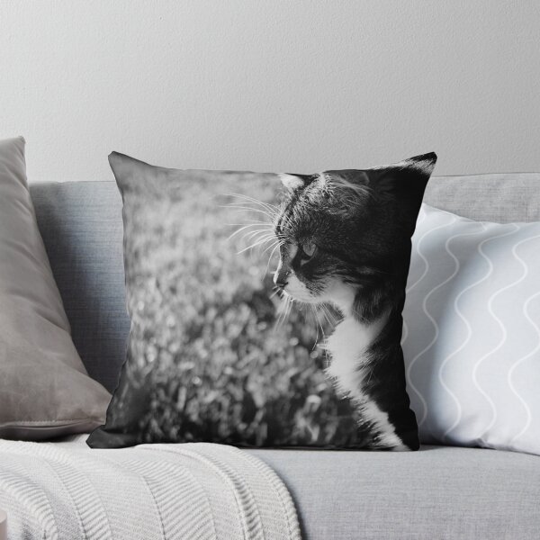 Item preview, Toby designed and sold by Jack Toohey.