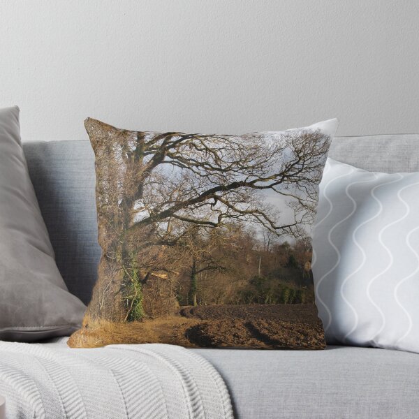 Item preview, Footpath to Leathley designed and sold by WatscapePhoto.