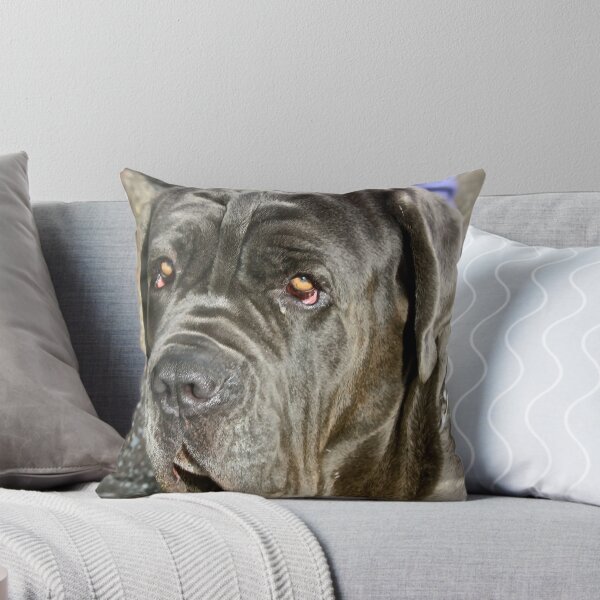 Item preview, blue designed and sold by colliegirl.