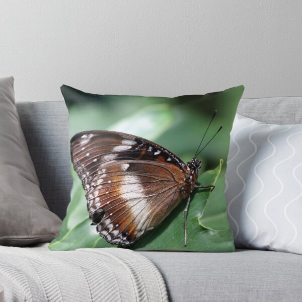 Item preview, Wing time dreaming designed and sold by Kelly Robinson.