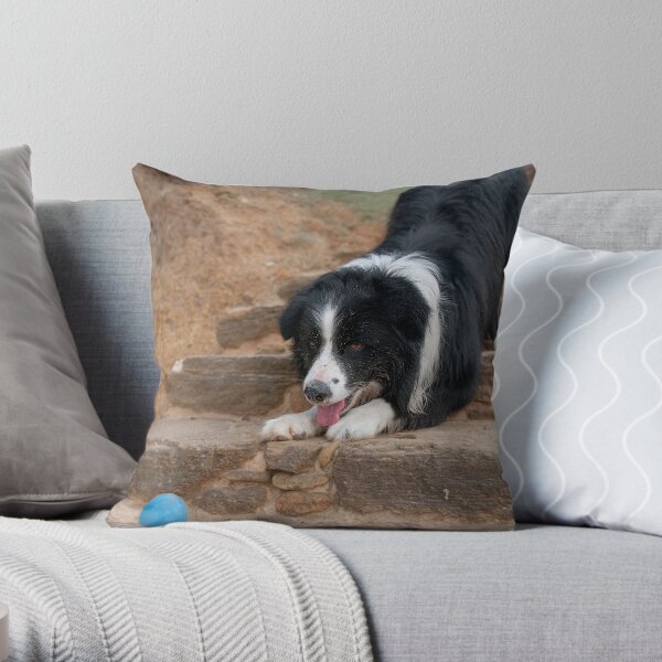 Catch It Mum! Throw Pillow