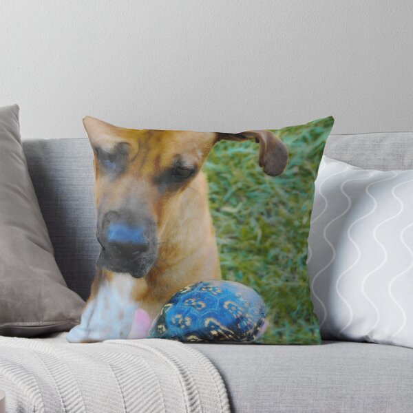 Item preview, A Dog and His Turtle... designed and sold by Karen  Helgesen.