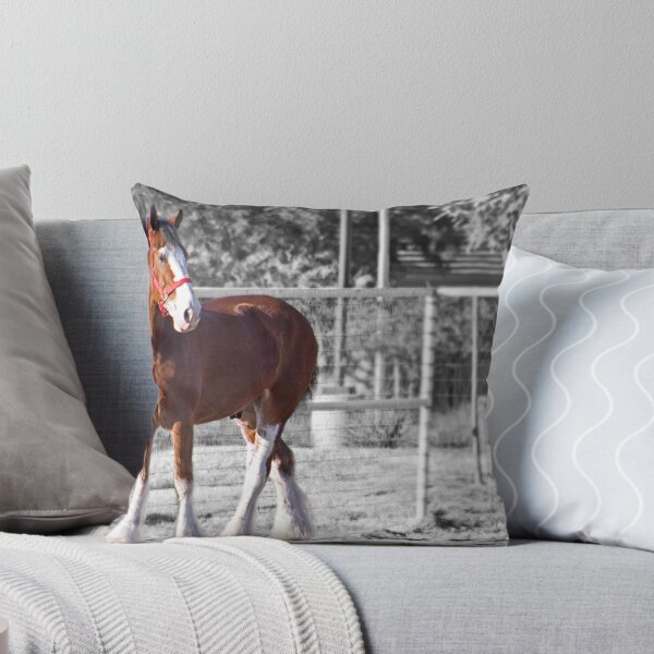 Item preview, Proud designed and sold by Sue  Cullumber.