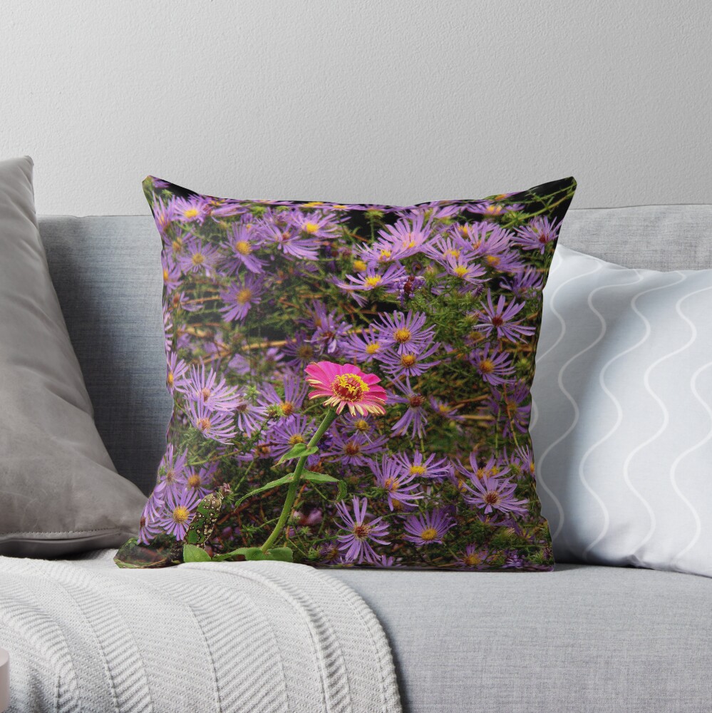 Stranger in a Strange Land Throw Pillow