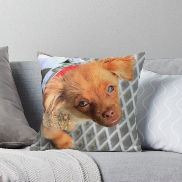 Item preview, pup designed and sold by armgw.