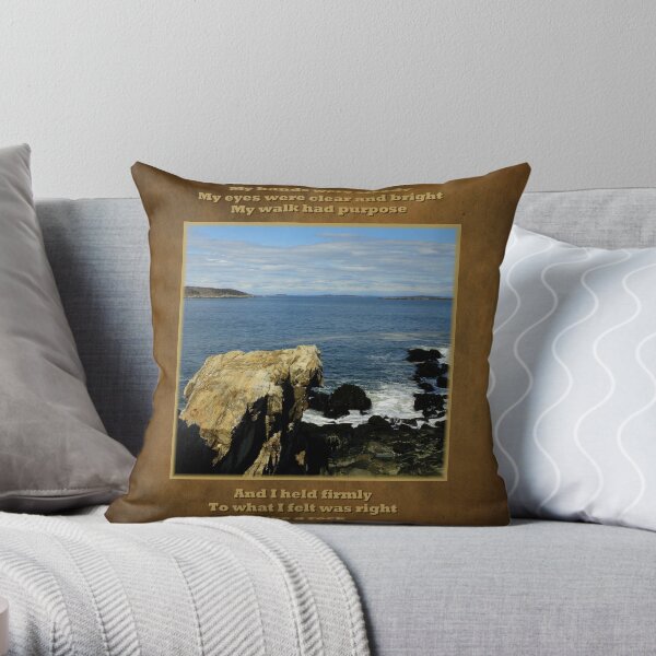 Like A Rock Throw Pillow