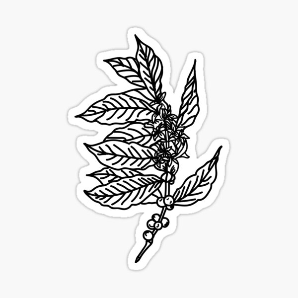 Coffee Plant Sticker