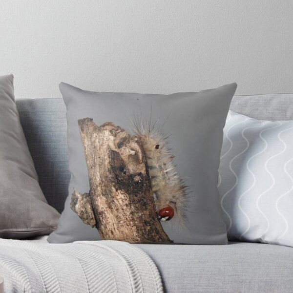 Item preview, Small Discovery designed and sold by noffi.
