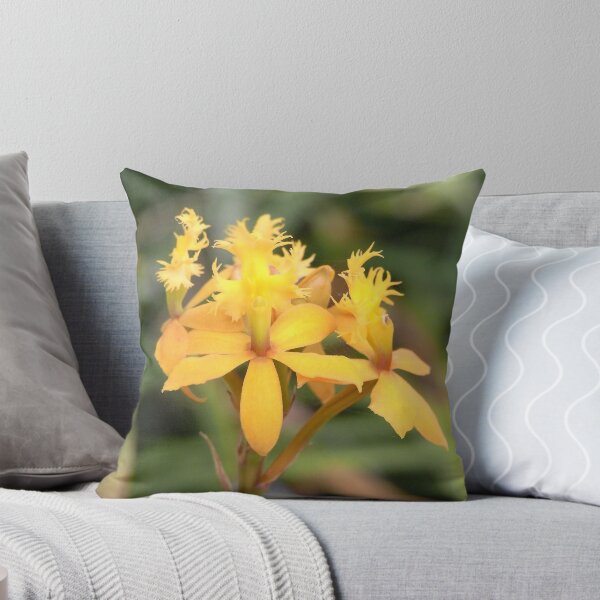 Item preview, crucifix orchid II designed and sold by Floralynne.