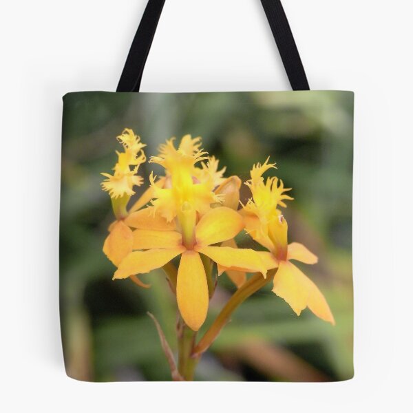 Item preview, crucifix orchid II designed and sold by Floralynne.