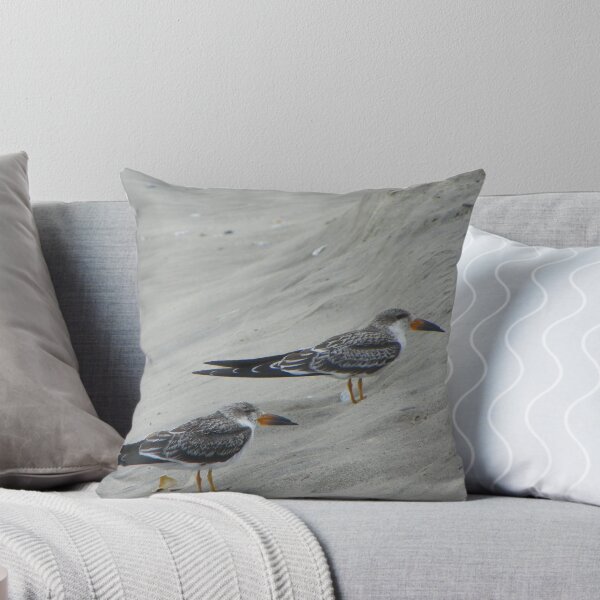 Item preview, Cape May NJ - two Black Skimmers designed and sold by MaryinMaine.
