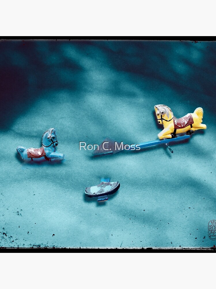 Winter Playground by ronmoss