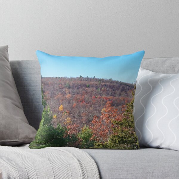 Aperçu de l'œuvre Late Autumn in the Catskills créée et vendue par Dandelion Dilluvio.