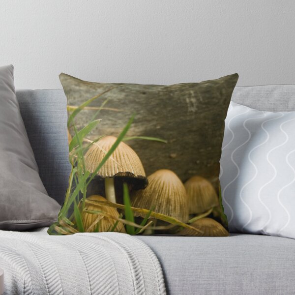 Throw Pillow