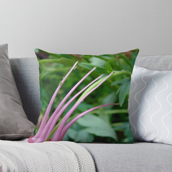 Item preview, weird and wonderful designed and sold by Jan Stead JEMproductions.