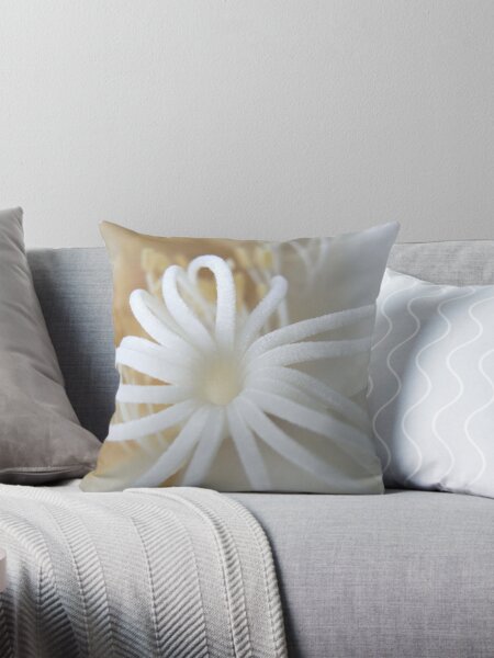 Aperçu de l'œuvre moonflower IV créée et vendue par Floralynne.
