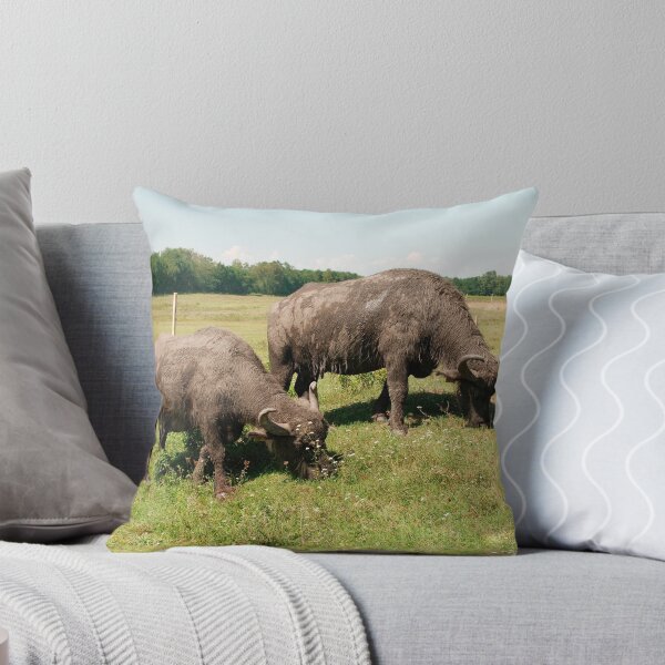 Item preview, Water Buffalo Grazing  designed and sold by jojobob.