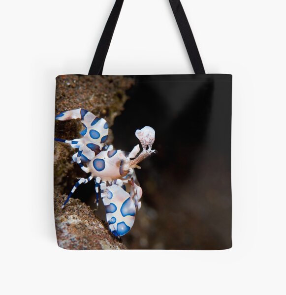Item preview, Harlequin shrimp designed and sold by Stephen Colquitt.