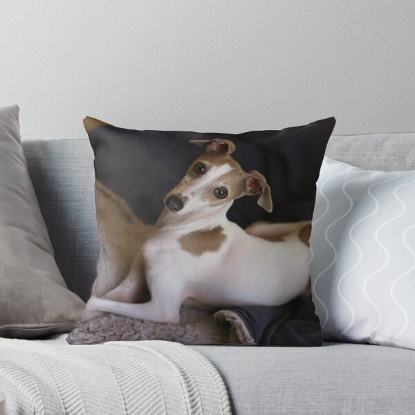 Item preview, Am I not the prettiest girl you've ever seen? designed and sold by whippeteer.