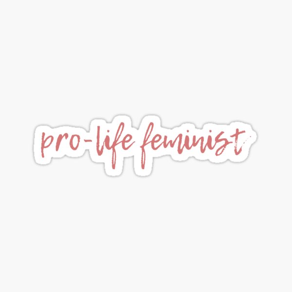 Artikel-Vorschau von Pro-Life-Feministisches T-Shirt, designt und verkauft von No Little Things.