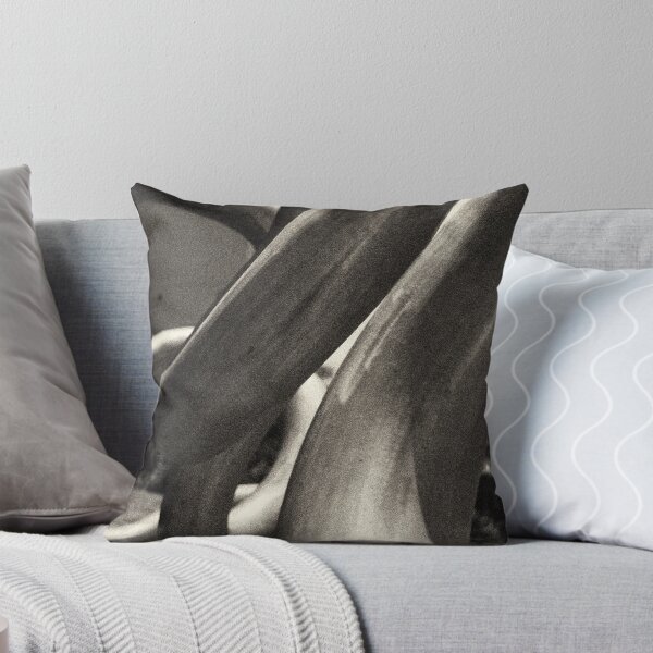 Item preview, Which way designed and sold by David Petranker.