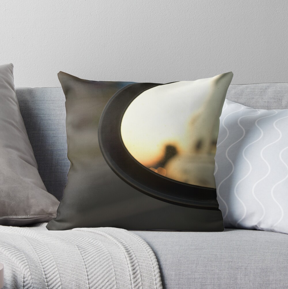You really should wash that car Throw Pillow