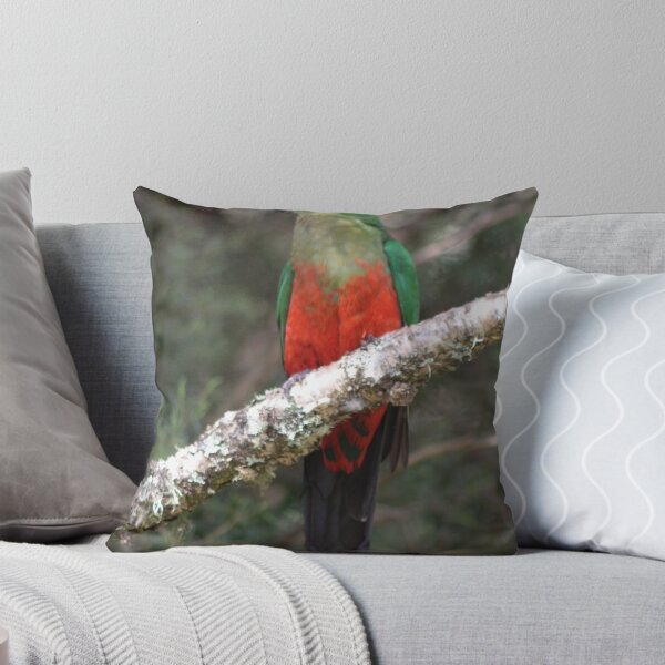 Item preview, Female King Parrot designed and sold by smallan.