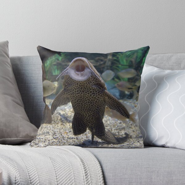 Give Me A Kiss ~ Plecostomus, or Algae eaters Throw Pillow