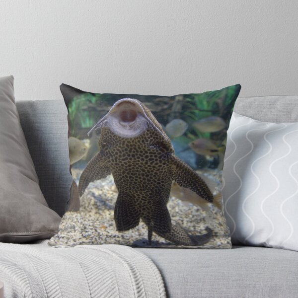 Item preview, Give Me A Kiss ~ Plecostomus, or Algae eaters designed and sold by Clive.