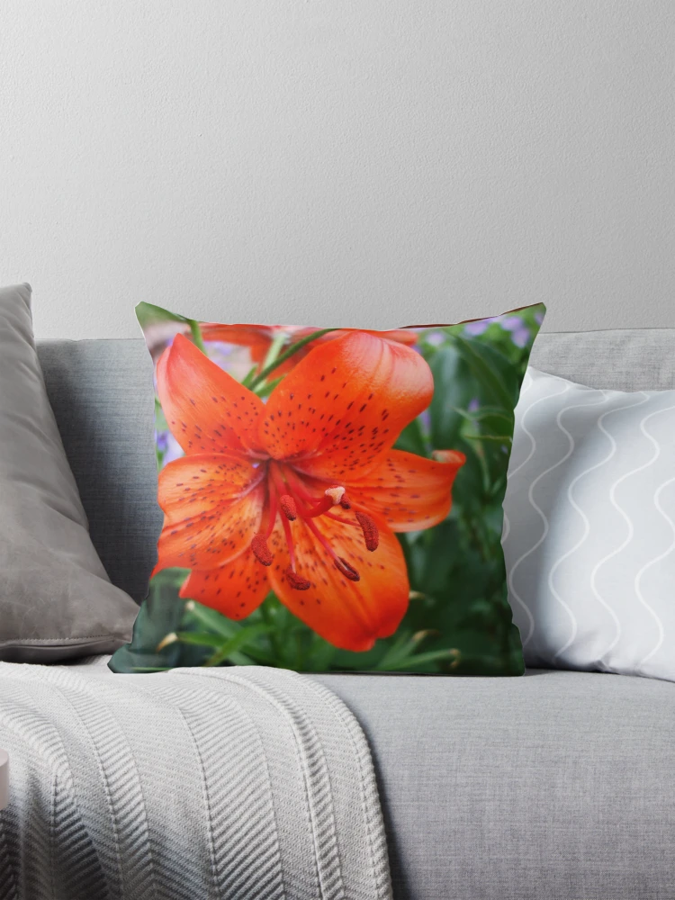 Thumbnail 1 of 4, Pillow, designed and sold by Ravred.