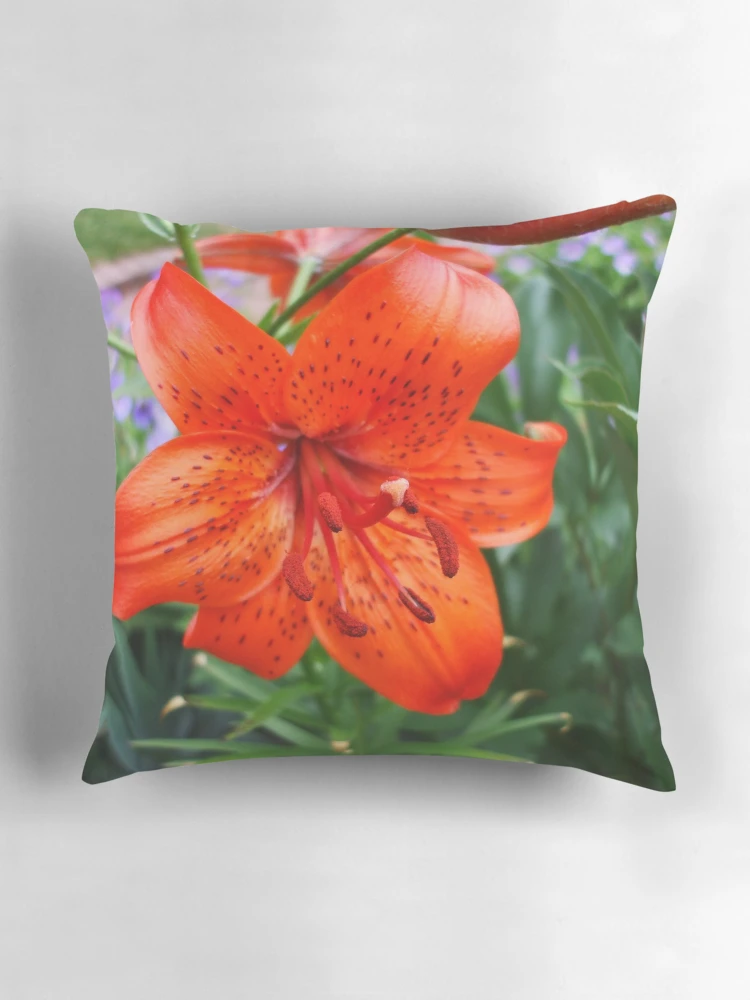Thumbnail 3 of 4, Pillow, designed and sold by Ravred.