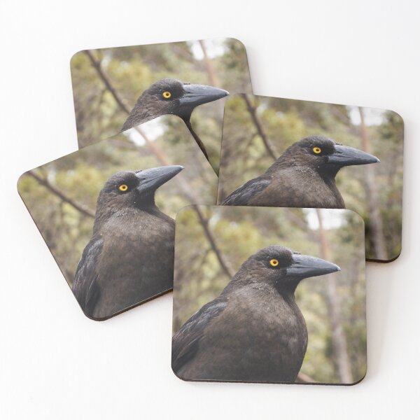 Item preview, Pied Currawong  designed and sold by Dragonsfield.