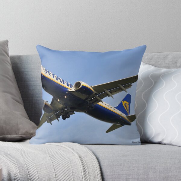 Final Descent Throw Pillow