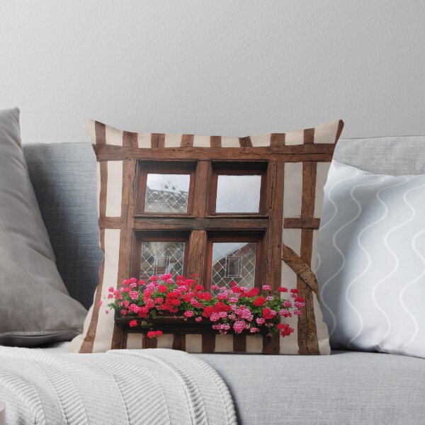 Item preview, Window at Troyes, France designed and sold by MaluC.