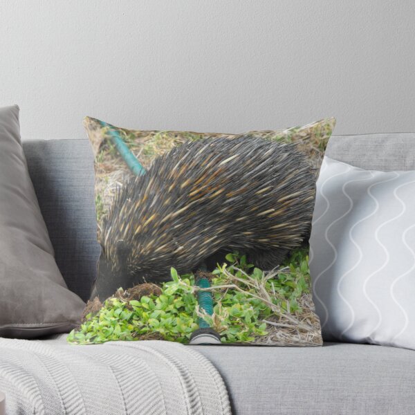 Item preview, True Australian Garden Visitor  designed and sold by 4spotmore.
