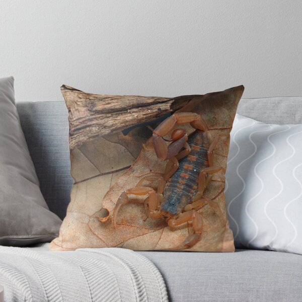 Item preview, Little Stinger designed and sold by Bill Morgenstern.