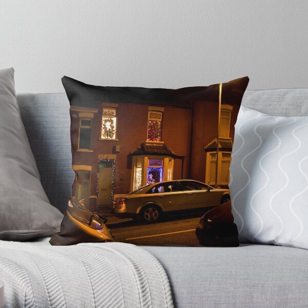 Gavin & Stacey's House, Barry Throw Pillow