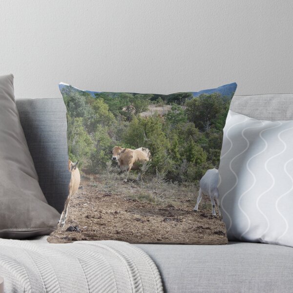 Item preview, Cows designed and sold by HELUA.