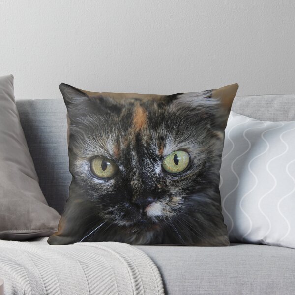 Item preview, A Cat Named Truffle designed and sold by Melissa Gurdus.