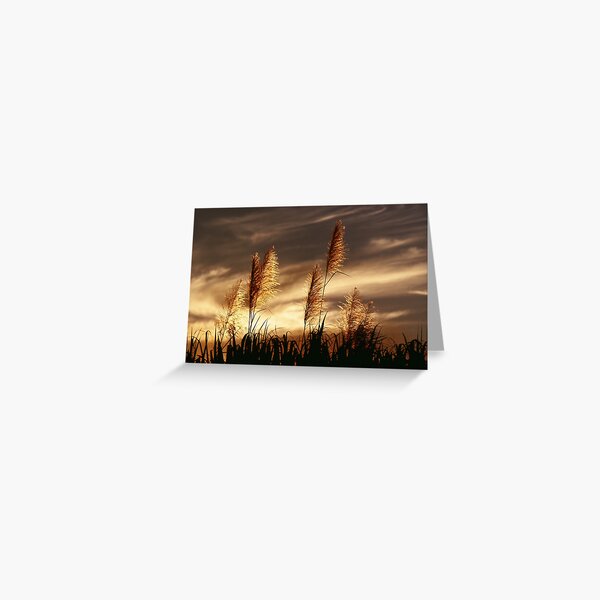 Smoky Sunset Greeting Card