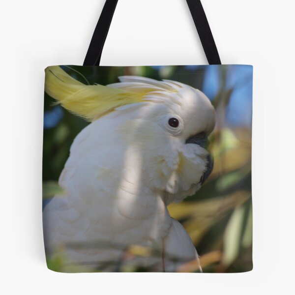 Item preview, Now!! Who's a pretty bird designed and sold by Gibbo1905.