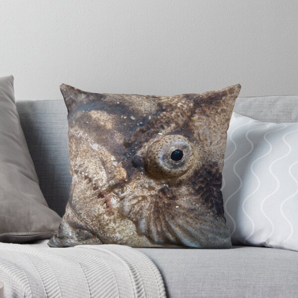 Item preview, Visage. designed and sold by James Peake Nature Photography..