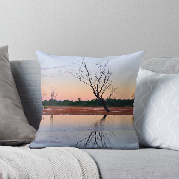 Aperçu de l'œuvre "Arcadia Valley Sunset" Queensland, Australia créée et vendue par rayrich.