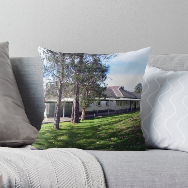 Female Ward Opened 1899 Demolished 2009 Throw Pillow