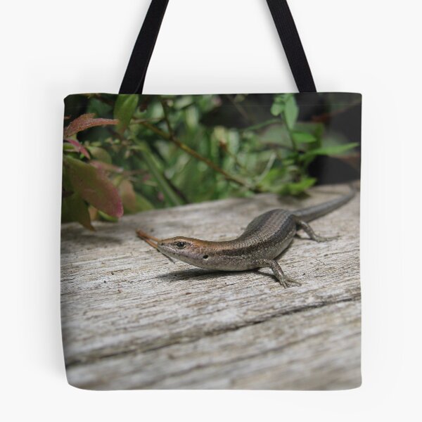 Item preview, The tubby Skink designed and sold by abbycat.