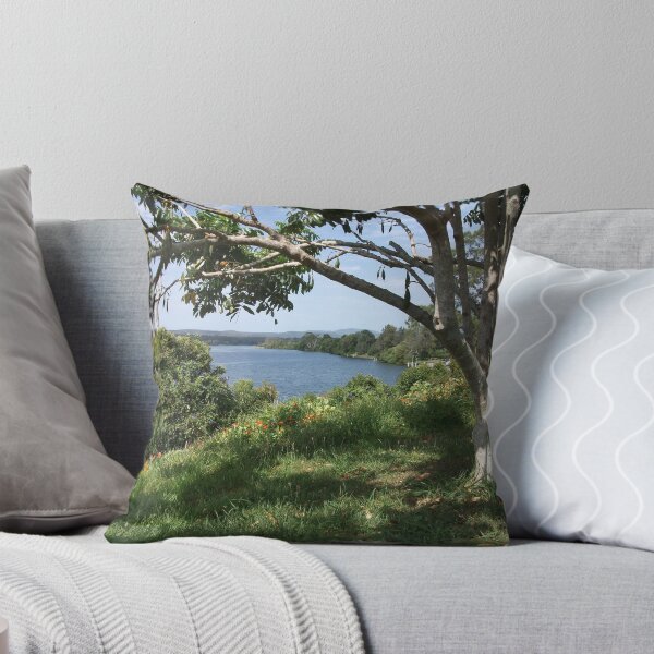Item preview, Fuji Test designed and sold by Gary Kelly.