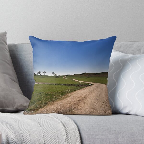 The Long & Winding Road Throw Pillow