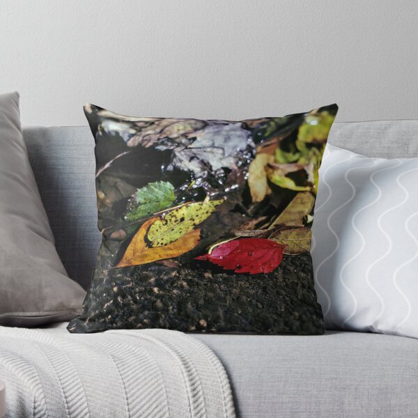 Colorful Leaves in Stream Throw Pillow