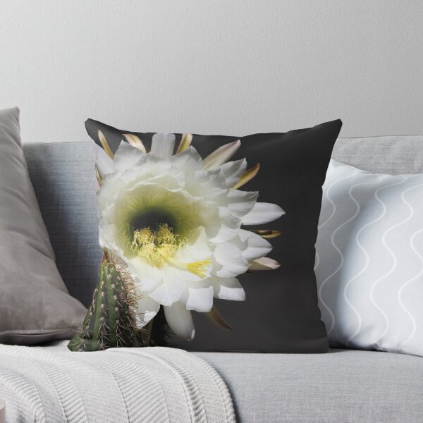 Item preview, Cactus in Bloom designed and sold by AlexMac.